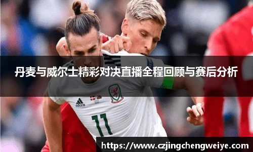 丹麦与威尔士精彩对决直播全程回顾与赛后分析
